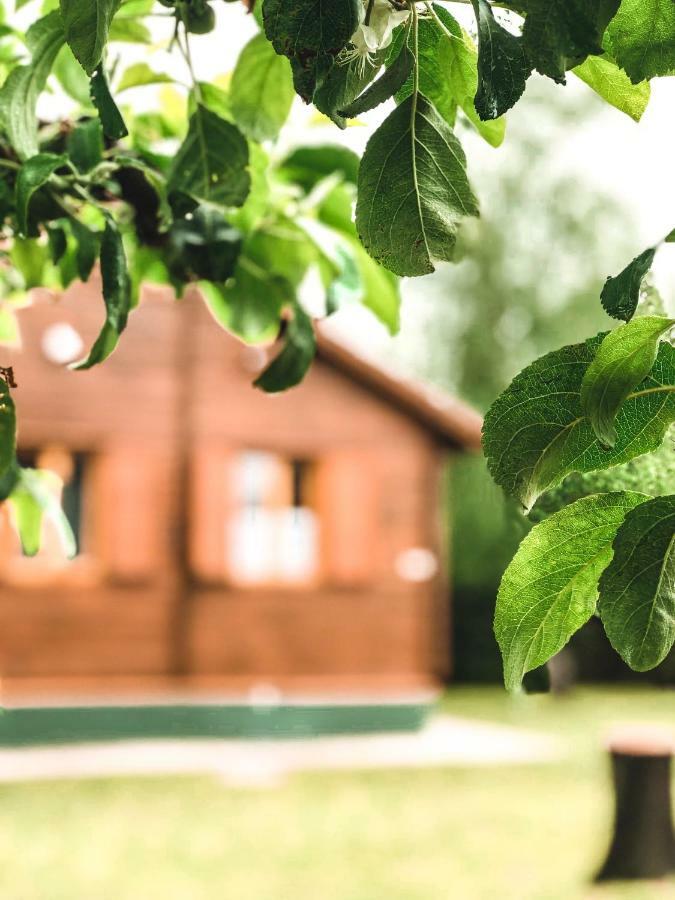 Lake House Farsang Balatonberény 외부 사진